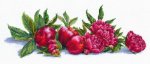 Apples And Poenies (image for) Apples And Poenies